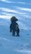 promare2003_0222BO.JPG (52486 octets)