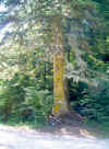 regsoup153414AA.JPG (151627 octets)