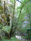 regsoup162147AA.JPG (230583 octets)